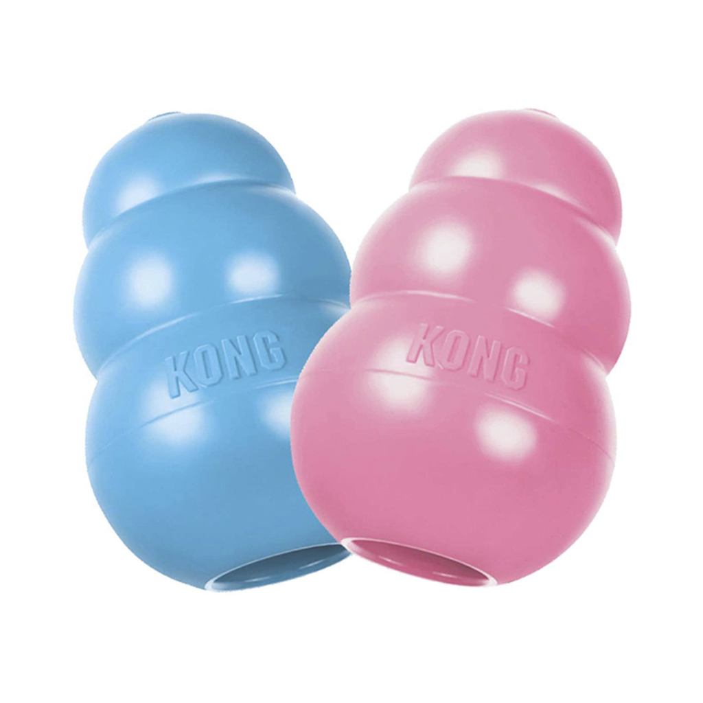 Kong Puppy