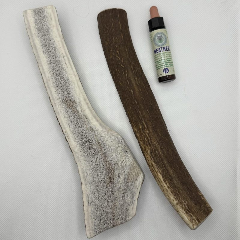 Corno Di Cervo Aperto